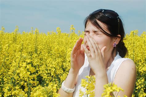 Breathe Easy: Effective Solutions for Managing Allergy & Hayfever Symptoms
