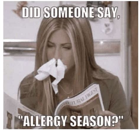 Allergy Attack Funny