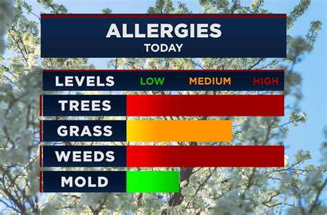 Allergy Forecast Last Week