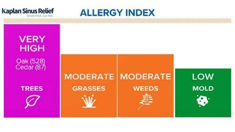 Allergy Levels Houston