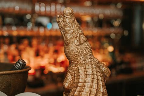 25+ Alligator Dance Wedding