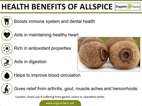 Allspice Facts
