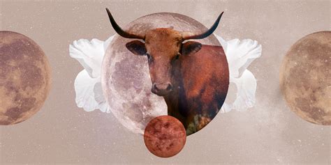 Allure Horoscope Taurus