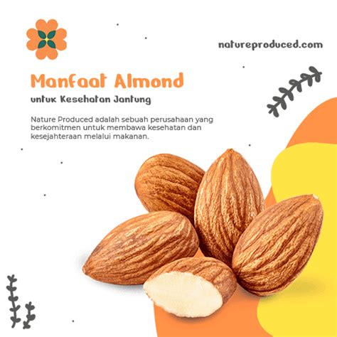 Manfaat Almond untuk Jantung