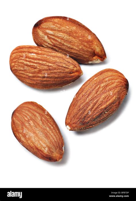 Almond Nut Fruit