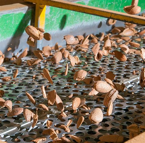 Almond Shell Burning