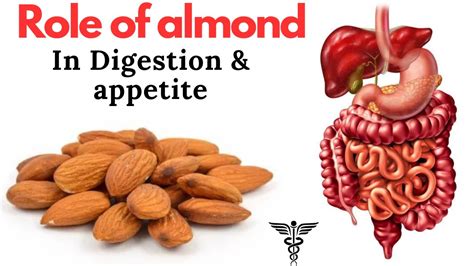 Almonds For Digestive Problems