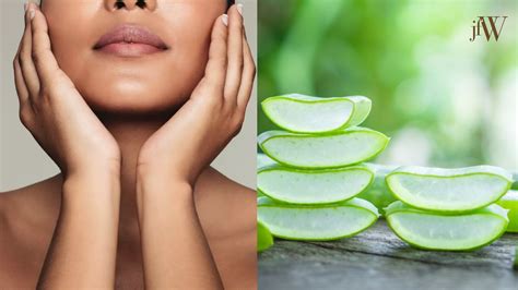 Aloe Vera untuk Wajah