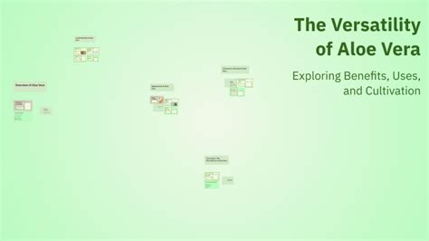 Penggunaan Serbaguna Aloe Vera