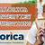 alorica interview questions