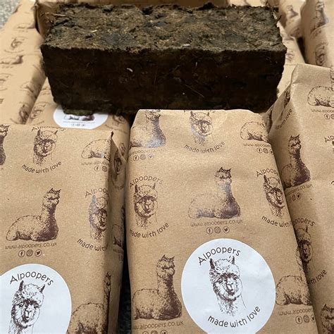 Subject Alpaca Poo Fire Bricks