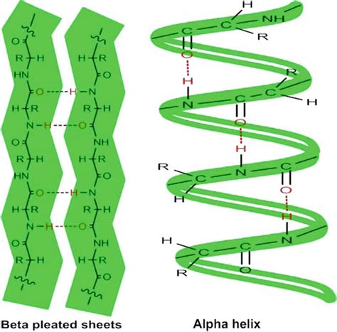Alpha/Beta Protein Structure