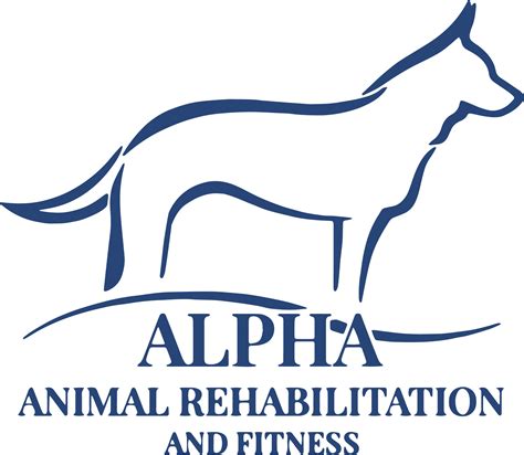 alpha animal rehabilitation and fitness