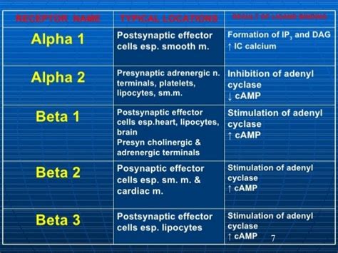 Alpha Beta Adrenergic Antagonist