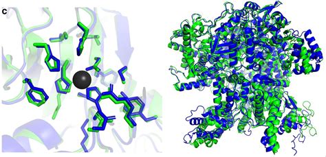 Visualisasi prediksi struktur protein 3D oleh AlphaFold yang merevolusi biologi molekuler dan penemuan obat