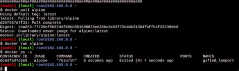 Alpine Docker Run Shell