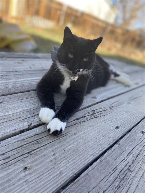 Alpine Glenn Veterinary