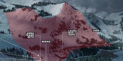 alpine meadows avalanche wikipedia
