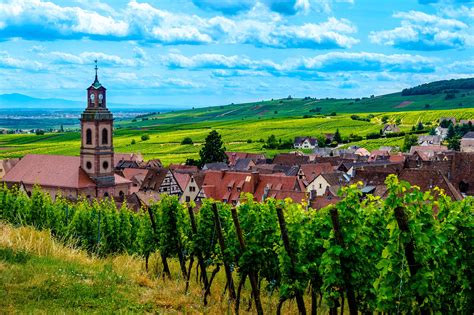 alsace wine tour from colmar