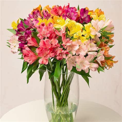 alstroemeria flowers by post