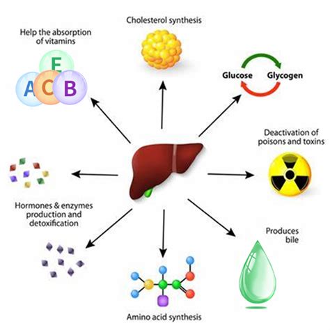 Unlocking Database Efficiency: The Power of Alt in LFT Indexing Explained
