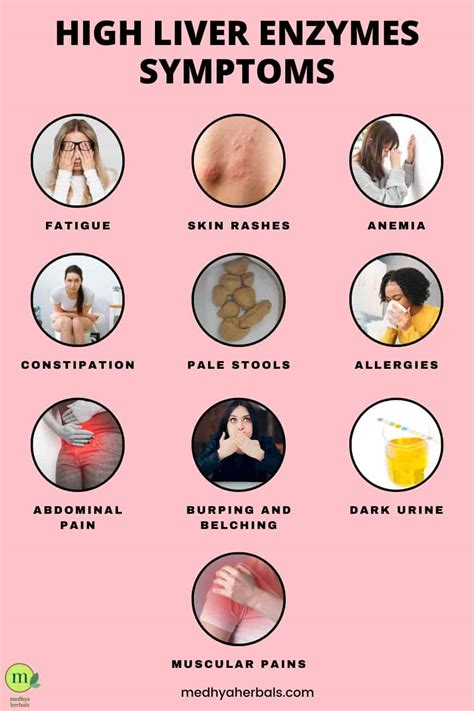 Unlocking the Truth: What Does it Mean When Alt is High?