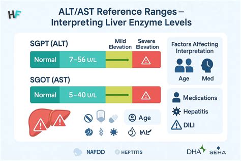 What Are Alt Ranges Normal in Blood Test Results