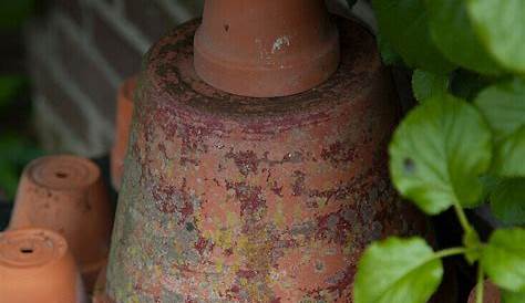 Töpfern für den Garten | Garden pottery, Garden art sculptures, Garden art