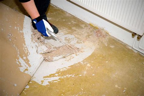 Alten Teppich mit heißem Eisen aufbügeln Wohnen