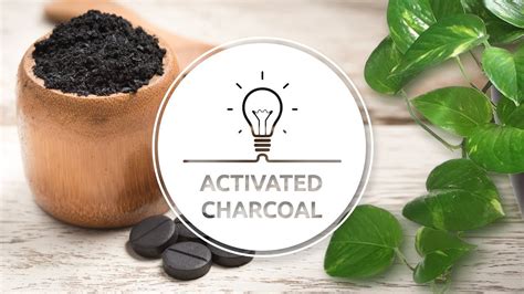 Activated Charcoal An Alternative Health Cleanse to Rejuvenate