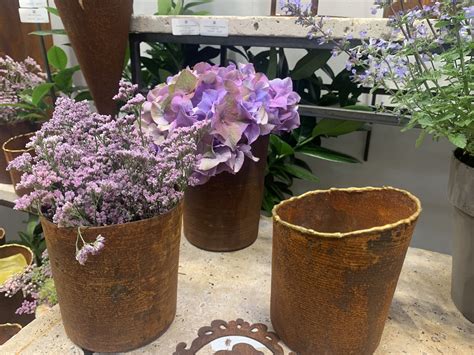 Pin on Blumentöpfe