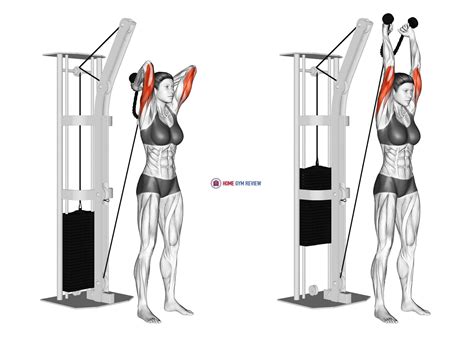alternative exercise for cable rope overhead triceps extension