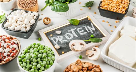 alternative protein food products