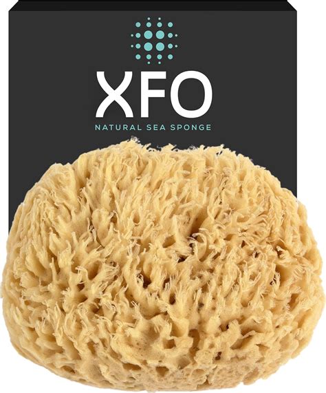 Alternative To A Sponge