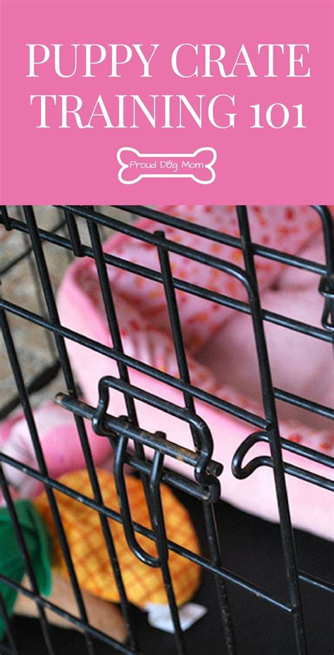 Alternative To Crating A Dog