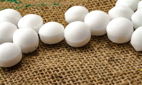 alternative to moth balls