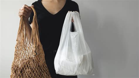 alternative to plastic bags