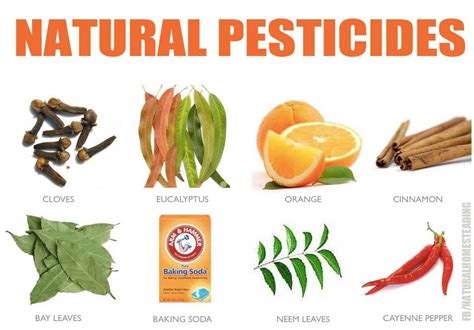 alternative usage of pesticides