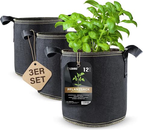 DIY BlumentopfUpcycling & die besten Zimmerpflanzen für dein Zuhause