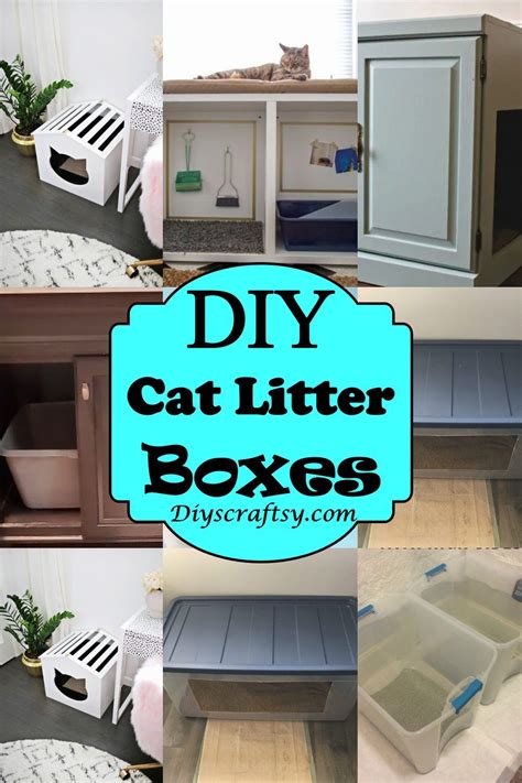 Alternatives For Litter Boxes