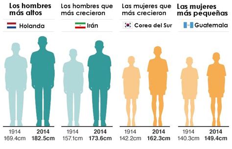 altura promedio de un humano