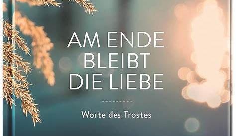 Was Am Ende Bleibt by Gottfried Haubold (German) Paperback Book Free