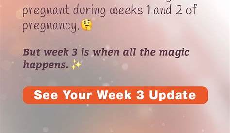 Am I 3 Weeks Pregnant Quiz Live Pregnancy Test At 1 Day!!!