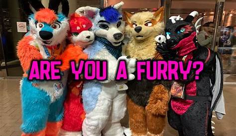 Quiz Am I a Furry? 100 Fun and Accurate Results