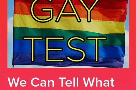 AM I GAY TEST REAL