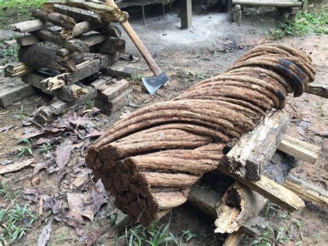 Amazon Video Benefits for Streamers and Viewers Explained Simply