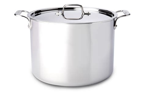 amazon 12 qt stock pot all clad