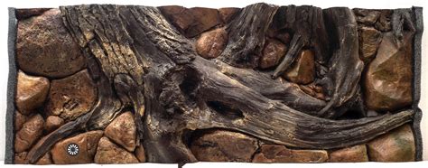 Amazon 3D Aquarium Background