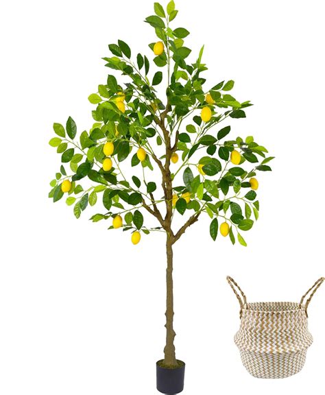 Amazon Artificial Lemon Tree