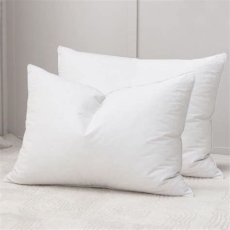 Amazon Best Down Pillows